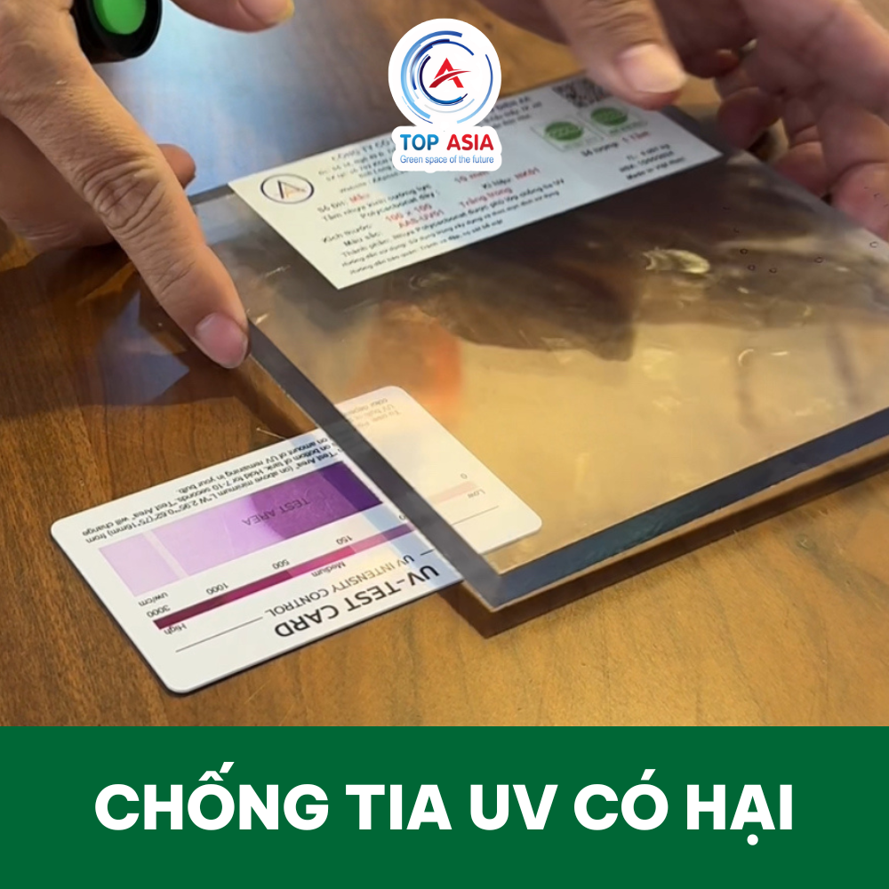 Bán Tấm Poly Đặc Tại Gò Vấp Giá Rẻ Chuẩn Độ Dày, Bảo Hành 10 Năm